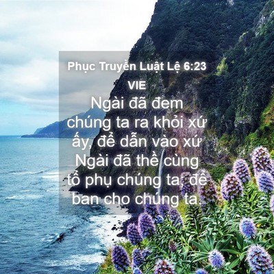 Picture 04 - Phục Truyền Luật Lệ 6:23 VIE - Ngài đã đem chúng ta ra khỏi xứ ấy, - Bible Verse Picture
