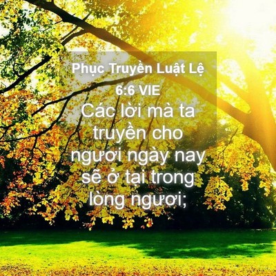 Picture 04 - Phục Truyền Luật Lệ 6:6 VIE - Các lời mà ta truyền cho ngươi ngày nay - Bible Verse Picture