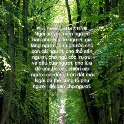 Picture 04 - Phục Truyền Luật Lệ 7:13 VIE - Ngài sẽ yêu mến ngươi, ban phước cho - Bible Verse Picture