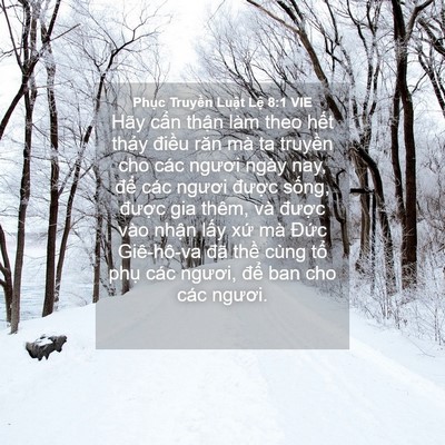 Picture 04 - Phục Truyền Luật Lệ 8:1 VIE - Hãy cẩn thận làm theo hết thảy điều - Bible Verse Picture