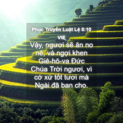 Picture 04 - Phục Truyền Luật Lệ 8:10 VIE - Vậy, ngươi sẽ ăn no nê, và ngợi khen - Bible Verse Picture