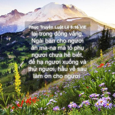 Picture 04 - Phục Truyền Luật Lệ 8:16 VIE - lại trong đồng vắng, Ngài ban cho ngươi - Bible Verse Picture