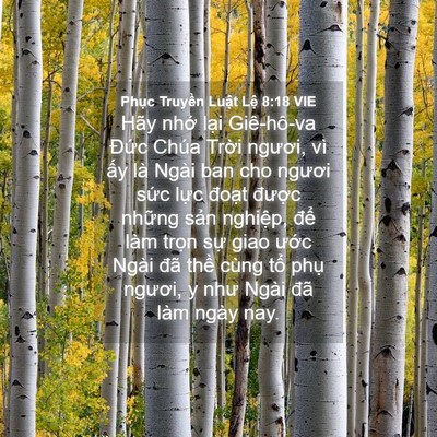 Picture 04 - Phục Truyền Luật Lệ 8:18 VIE - Hãy nhớ lại Giê-hô-va Đức Chúa Trời - Bible Verse Picture