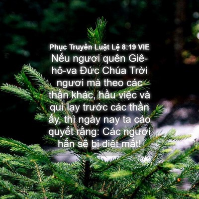 Picture 04 - Phục Truyền Luật Lệ 8:19 VIE - Nếu ngươi quên Giê-hô-va Đức Chúa - Bible Verse Picture