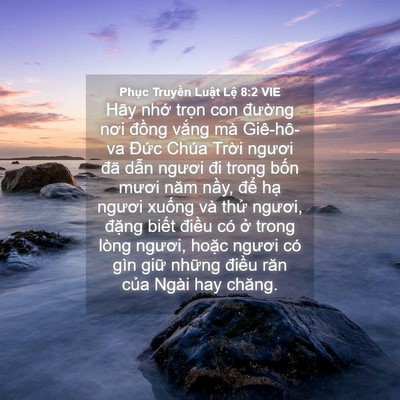 Picture 04 - Phục Truyền Luật Lệ 8:2 VIE - Hãy nhớ trọn con đường nơi đồng - Bible Verse Picture