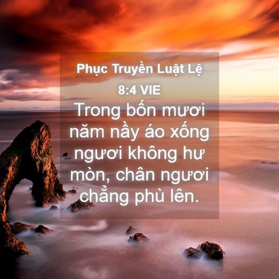 Picture 04 - Phục Truyền Luật Lệ 8:4 VIE - Trong bốn mươi năm nầy áo xống ngươi - Bible Verse Picture