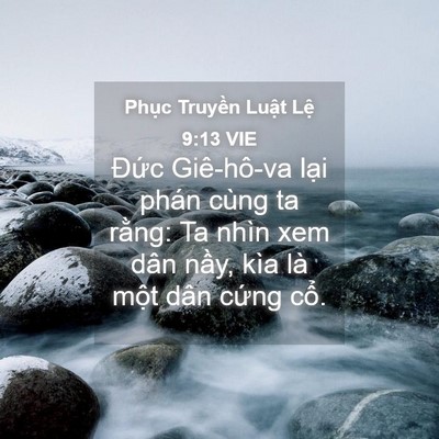 Picture 04 - Phục Truyền Luật Lệ 9:13 VIE - Đức Giê-hô-va lại phán cùng ta rằng: - Bible Verse Picture
