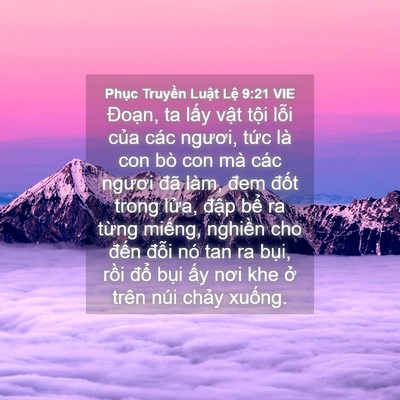 Picture 04 - Phục Truyền Luật Lệ 9:21 VIE - Đoạn, ta lấy vật tội lỗi của các - Bible Verse Picture
