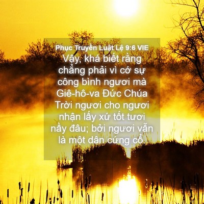 Picture 04 - Phục Truyền Luật Lệ 9:6 VIE - Vậy, khá biết rằng chẳng phải vì cớ - Bible Verse Picture