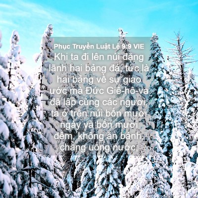 Picture 04 - Phục Truyền Luật Lệ 9:9 VIE - Khi ta đi lên núi đặng lãnh hai bảng - Bible Verse Picture