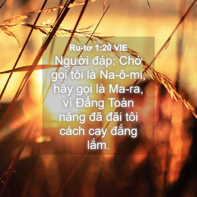 Picture 04 - Ru-tơ 1:20 VIE - Người đáp: Chớ gọi tôi là Na-ô-mi, - Bible Verse Picture