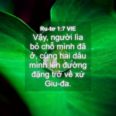 Picture 04 - Ru-tơ 1:7 VIE - Vậy, người lìa bỏ chỗ mình đã ở, - Bible Verse Picture