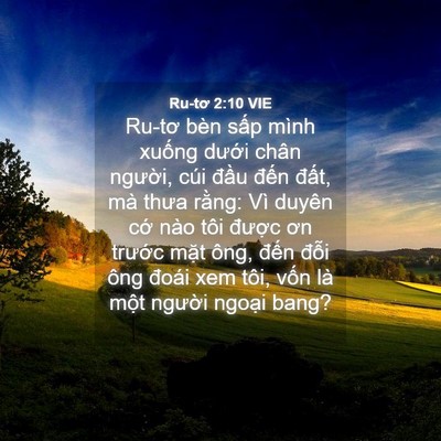 Picture 04 - Ru-tơ 2:10 VIE - Ru-tơ bèn sấp mình xuống dưới chân - Bible Verse Picture