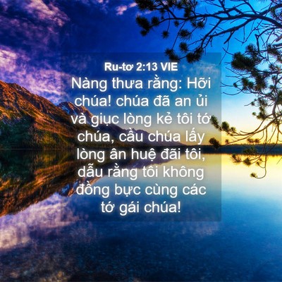Picture 04 - Ru-tơ 2:13 VIE - Nàng thưa rằng: Hỡi chúa! chúa đã an - Bible Verse Picture