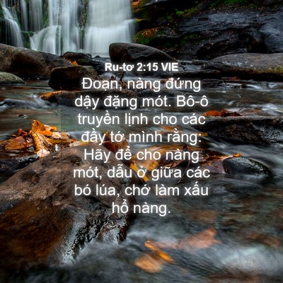 Picture 04 - Ru-tơ 2:15 VIE - Đoạn, nàng đứng dậy đặng mót. Bô-ô - Bible Verse Picture