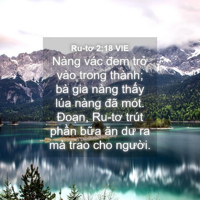 Picture 04 - Ru-tơ 2:18 VIE - Nàng vác đem trở vào trong thành; bà gia - Bible Verse Picture