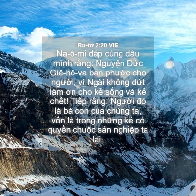 Picture 04 - Ru-tơ 2:20 VIE - Na-ô-mi đáp cùng dâu mình rằng: Nguyện - Bible Verse Picture
