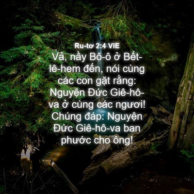 Picture 04 - Ru-tơ 2:4 VIE - Vả, nầy Bô-ô ở Bết-lê-hem đến, nói - Bible Verse Picture