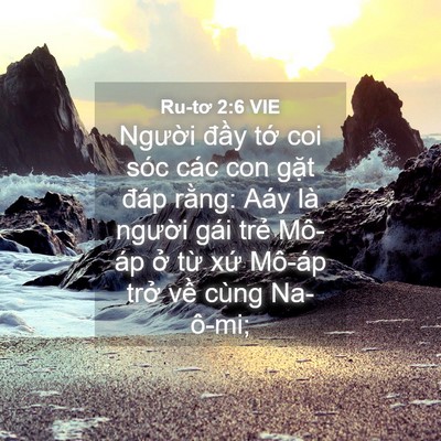 Picture 04 - Ru-tơ 2:6 VIE - Người đầy tớ coi sóc các con gặt - Bible Verse Picture
