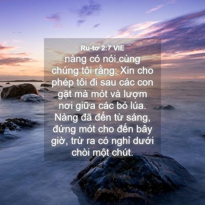 Picture 04 - Ru-tơ 2:7 VIE - nàng có nói cùng chúng tôi rằng: Xin cho - Bible Verse Picture