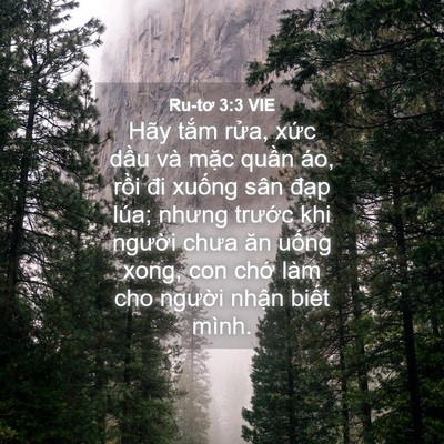 Picture 04 - Ru-tơ 3:3 VIE - Hãy tắm rửa, xức dầu và mặc quần - Bible Verse Picture