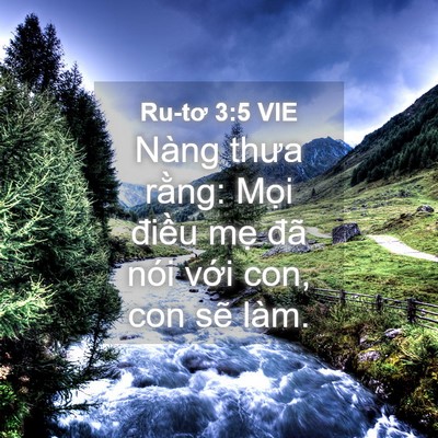 Picture 04 - Ru-tơ 3:5 VIE - Nàng thưa rằng: Mọi điều mẹ đã nói - Bible Verse Picture
