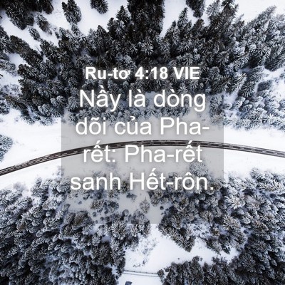 Picture 04 - Ru-tơ 4:18 VIE - Nầy là dòng dõi của Pha-rết: Pha-rết - Bible Verse Picture