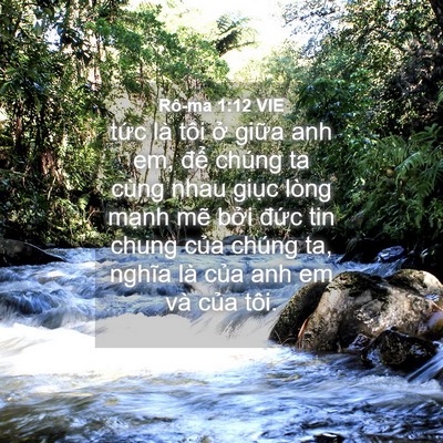 Picture 04 - Rô-ma 1:12 VIE - tức là tôi ở giữa anh em, để chúng ta - Bible Verse Picture