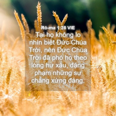 Picture 04 - Rô-ma 1:28 VIE - Tại họ không lo nhìn biết Đức Chúa - Bible Verse Picture