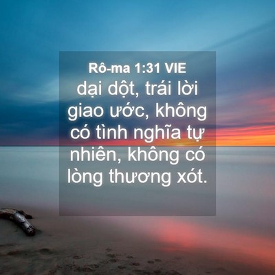 Picture 04 - Rô-ma 1:31 VIE - dại dột, trái lời giao ước, không có - Bible Verse Picture