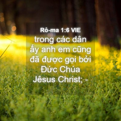 Picture 04 - Rô-ma 1:6 VIE - trong các dân ấy anh em cũng đã được - Bible Verse Picture