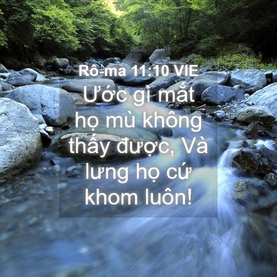 Picture 04 - Rô-ma 11:10 VIE - Ước gì mắt họ mù không thấy được, - Bible Verse Picture