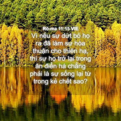 Picture 04 - Rô-ma 11:15 VIE - Vì nếu sự dứt bỏ họ ra đã làm sự - Bible Verse Picture