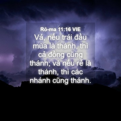 Picture 04 - Rô-ma 11:16 VIE - Vả, nếu trái đầu mùa là thánh, thì - Bible Verse Picture