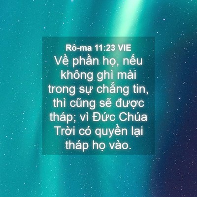 Picture 04 - Rô-ma 11:23 VIE - Về phần họ, nếu không ghì mài trong - Bible Verse Picture
