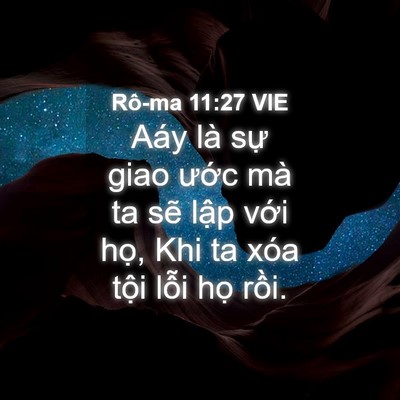 Picture 04 - Rô-ma 11:27 VIE - Aáy là sự giao ước mà ta sẽ lập với - Bible Verse Picture