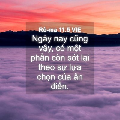 Picture 04 - Rô-ma 11:5 VIE - Ngày nay cũng vậy, có một phần còn sót - Bible Verse Picture
