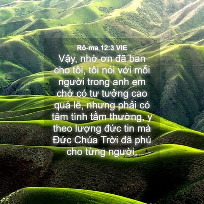 Picture 04 - Rô-ma 12:3 VIE - Vậy, nhờ ơn đã ban cho tôi, tôi nói - Bible Verse Picture
