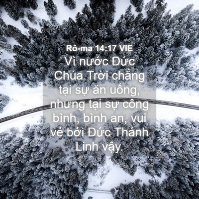 Picture 04 - Rô-ma 14:17 VIE - Vì nước Đức Chúa Trời chẳng tại - Bible Verse Picture