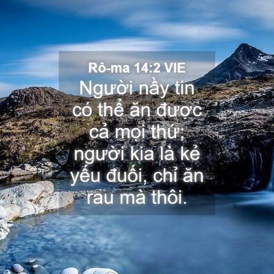Picture 04 - Rô-ma 14:2 VIE - Người nầy tin có thể ăn được cả - Bible Verse Picture