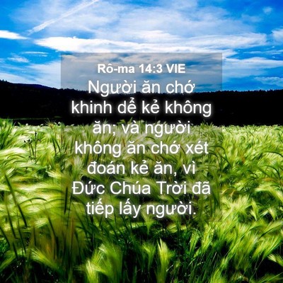 Picture 04 - Rô-ma 14:3 VIE - Người ăn chớ khinh dể kẻ không ăn; - Bible Verse Picture