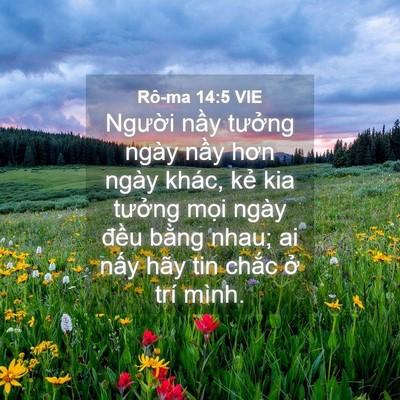 Picture 04 - Rô-ma 14:5 VIE - Người nầy tưởng ngày nầy hơn ngày - Bible Verse Picture