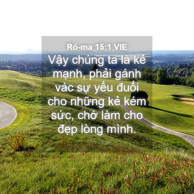 Picture 04 - Rô-ma 15:1 VIE - Vậy chúng ta là kẻ mạnh, phải gánh - Bible Verse Picture