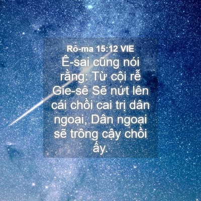 Picture 04 - Rô-ma 15:12 VIE - Ê-sai cũng nói rằng: Từ cội rễ Gie-sê - Bible Verse Picture