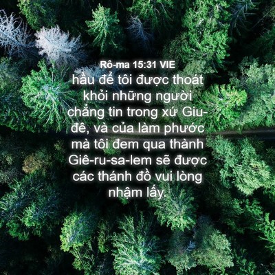 Picture 04 - Rô-ma 15:31 VIE - hầu để tôi được thoát khỏi những - Bible Verse Picture