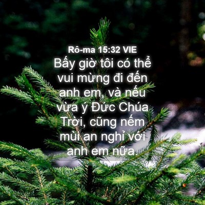 Picture 04 - Rô-ma 15:32 VIE - Bấy giờ tôi có thể vui mừng đi đến - Bible Verse Picture