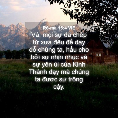Picture 04 - Rô-ma 15:4 VIE - Vả, mọi sự đã chép từ xưa đều - Bible Verse Picture