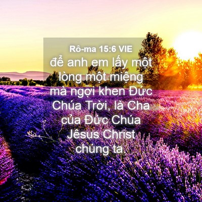 Picture 04 - Rô-ma 15:6 VIE - để anh em lấy một lòng một miệng mà - Bible Verse Picture