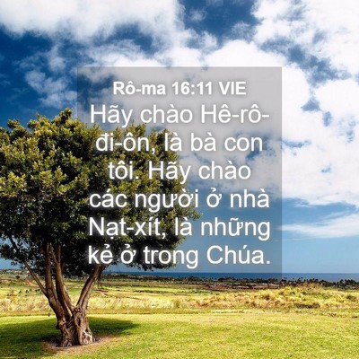 Picture 04 - Rô-ma 16:11 VIE - Hãy chào Hê-rô-đi-ôn, là bà con tôi. - Bible Verse Picture