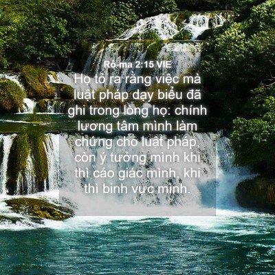 Picture 04 - Rô-ma 2:15 VIE - Họ tỏ ra rằng việc mà luật pháp dạy - Bible Verse Picture